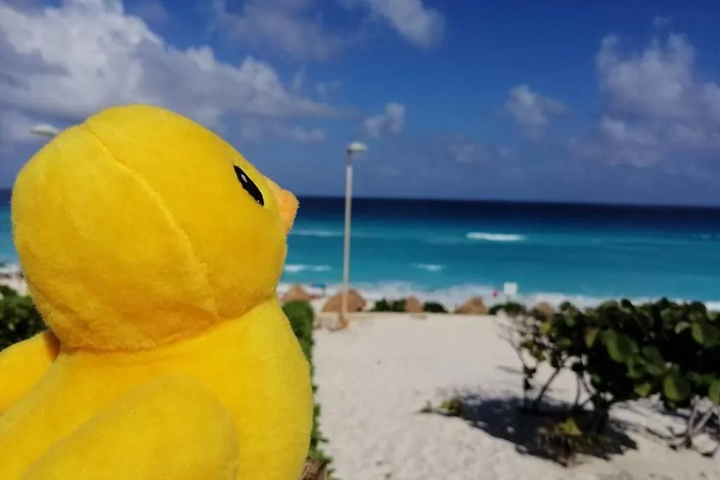 El Depa Del Pato Apartman Cancún